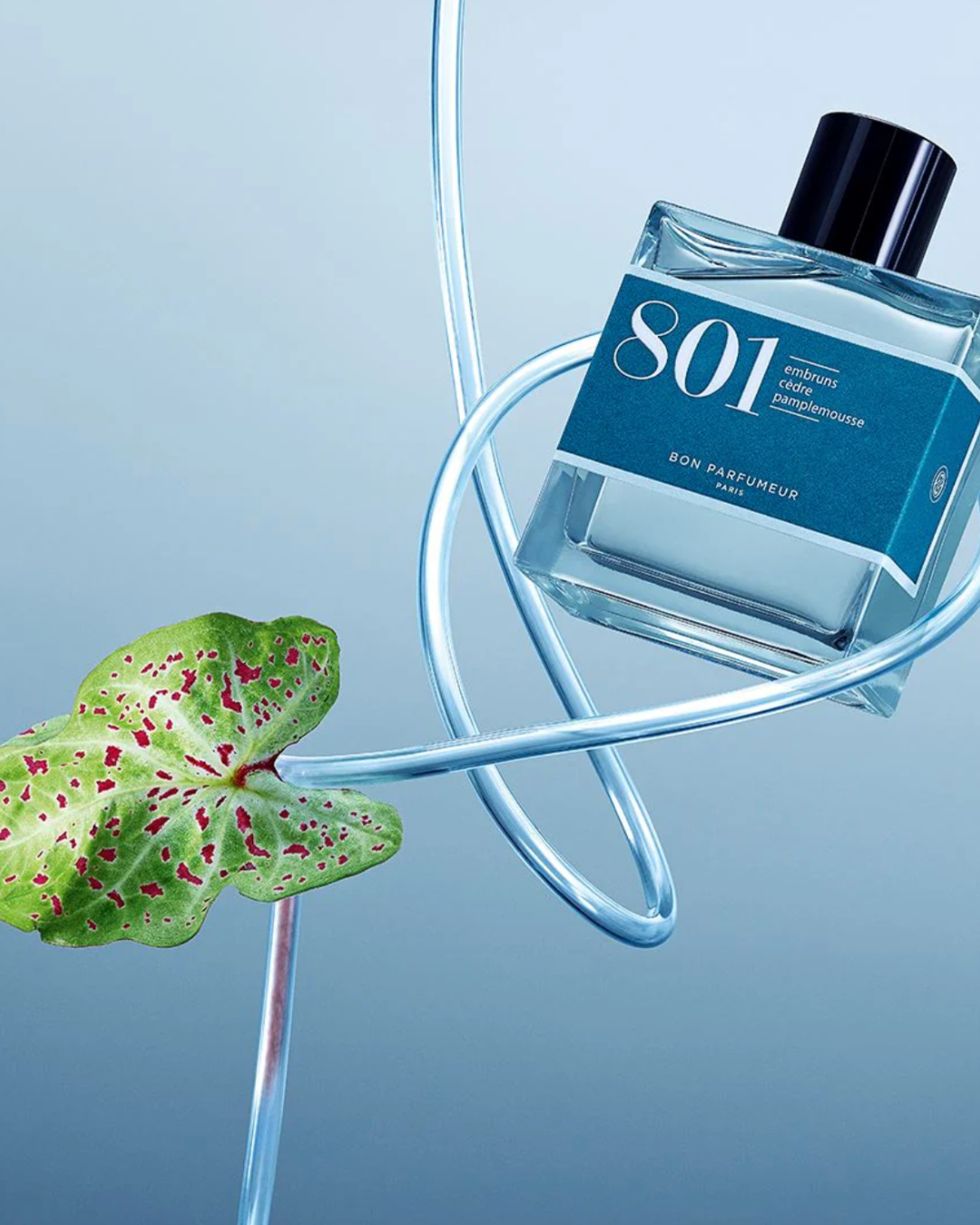 Eau de parfum Bon Parfumeur 801 – Embruns, Cèdre et Pamplemousse, flacon 30 ml, parfum aquatique frais et estival.
