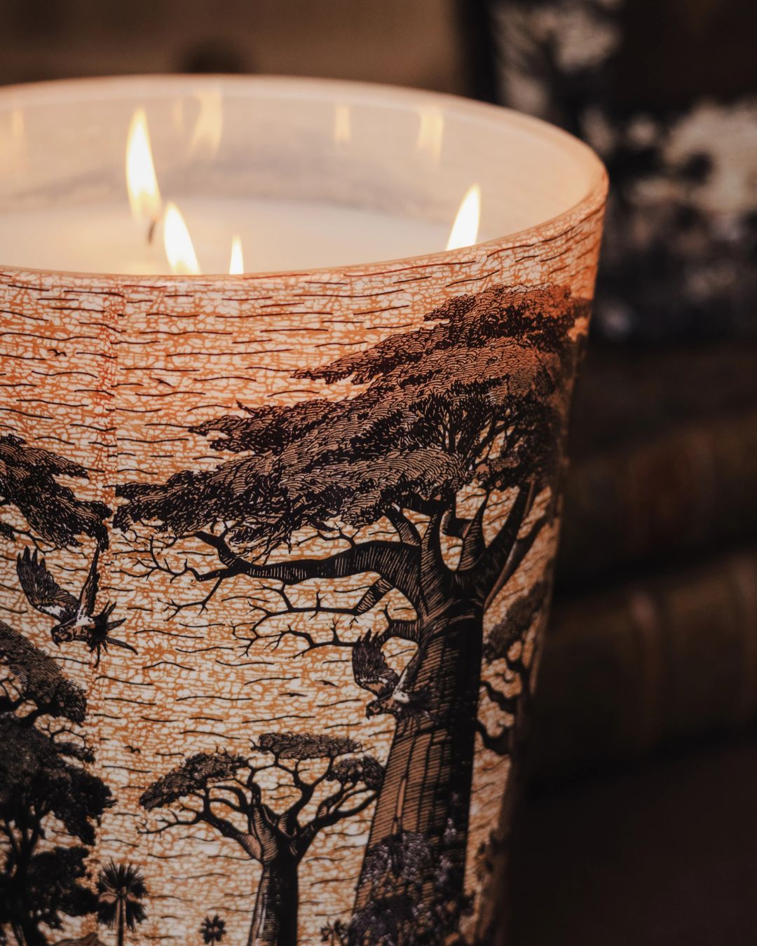 Bougie parfumée Baobab Sacred Trees Mankono Max 10 avec décor Uniwax.