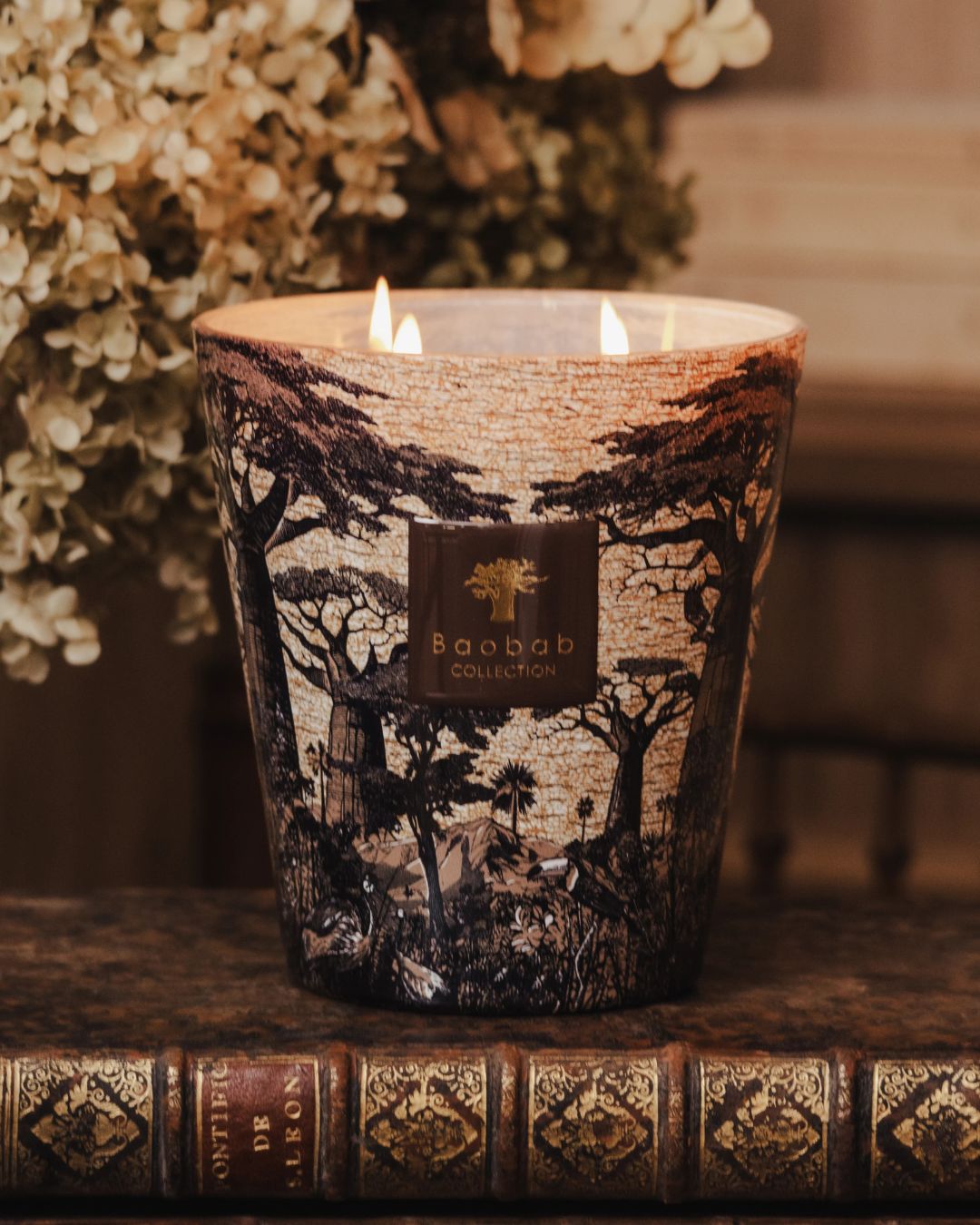 Bougie parfumée Baobab Sacred Trees Mankono Max 16 décor Uniwax.