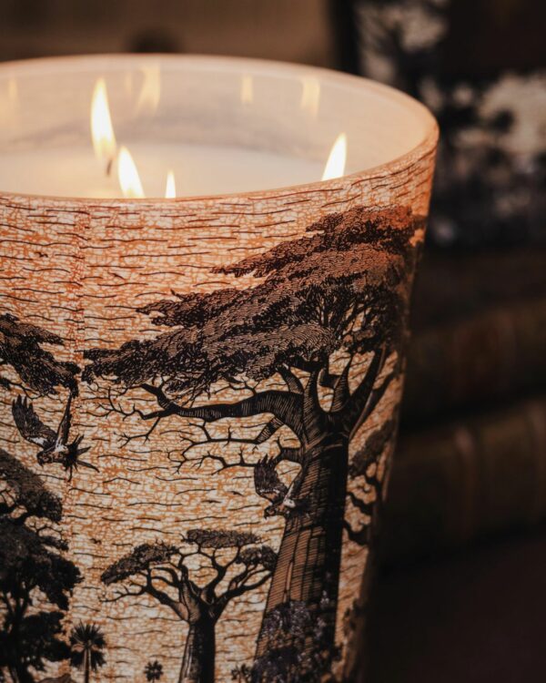 Bougie parfumée Baobab Sacred Trees Mankono Max 16 décor Uniwax.