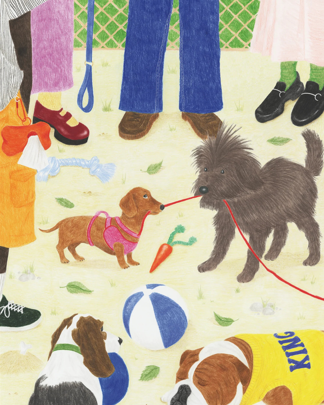 Puzzle 1000 pièces Sortir le Chien illustrant une promenade conviviale au parc avec plusieurs chiens.
