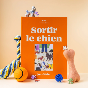 Puzzle 1000 pièces Sortir le Chien illustrant une promenade conviviale au parc avec plusieurs chiens.